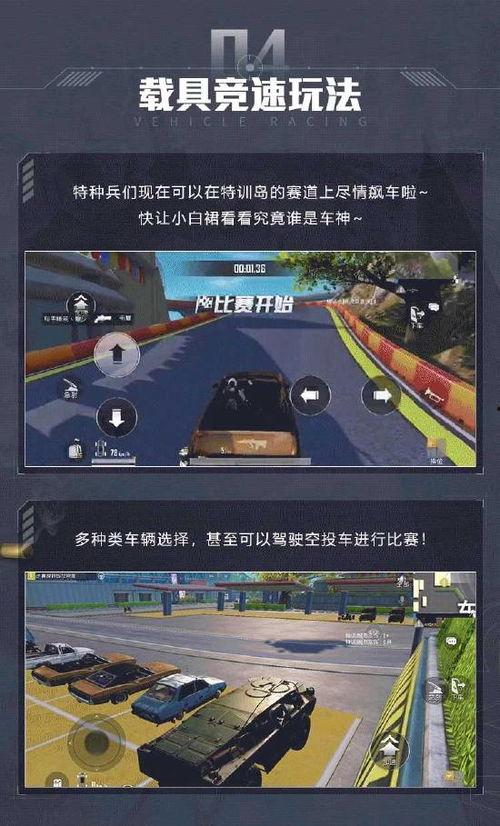 和平精英最新爆料2,全新爆料揭示游戏革新升级,战火再燃!